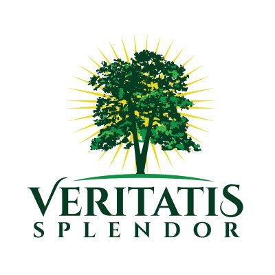 Official Veritatis Splendor Twitter account. A physical and spiritual home for Christians to preserve, protect, and proclaim Christendom.