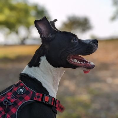 mrmrsnever's profile picture. 