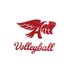 Hawkette Volleyball (@VB_Ankeny) Twitter profile photo