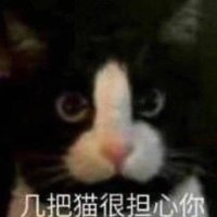 樱木 (@luzhe712644671) Twitter profile photo