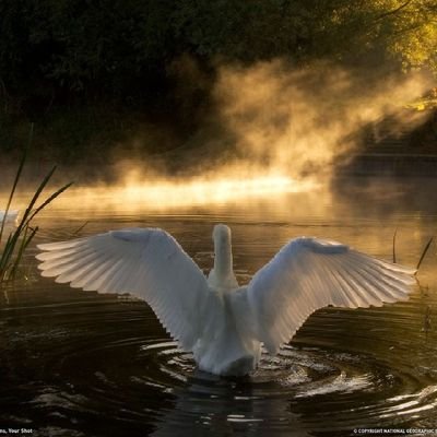 yanniskabas1's profile picture. painter