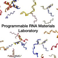 Stewart Lab (@thestewartlab) 's Twitter Profile