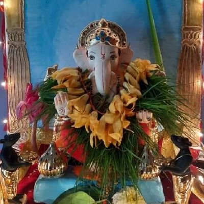 Savita33096829's profile picture. 