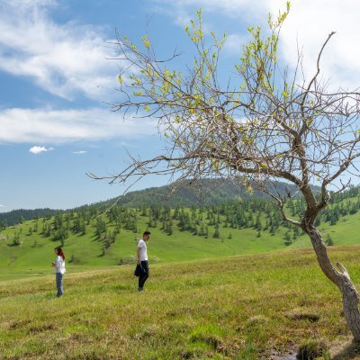 leonzhaoyu's profile picture.