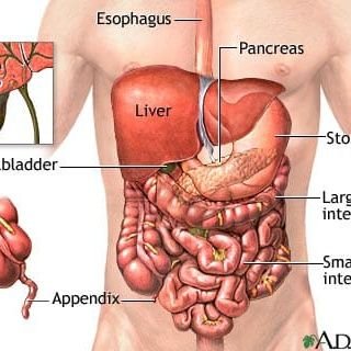 Ahmad06652459's profile picture. 