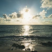 株式会社イントランス (@intrance_press) 's Twitter Profile