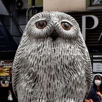 bookjo1030's profile picture. 保守系、大谷、登山、スキー、ラーメン