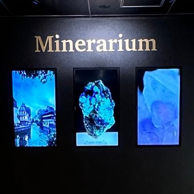 minerarium's profile picture. 🍀地球が生んだ美しい石を、あなたのもとへ。ミネラルセレクトショップ「ミネラリウム」🌏世界の石をミネラルイベントで販売中｜奈良ギャラリー、BASEは小休止｜#石好きさんとつながりたい✨ Beautiful Mineral Stones