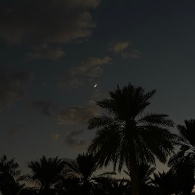 USALEH_10's profile picture. 