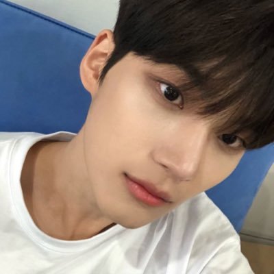 taeraeday Profile Picture