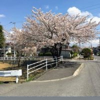 橋本佳三 (@v17j1kjd2s496) 's Twitter Profile