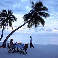 Sneha Loya (@sneha) 's Twitter Profile