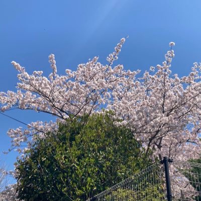 うゆうゆ🍃さんのプロフィール画像