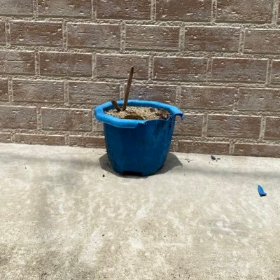 yoshio11261's profile picture. 