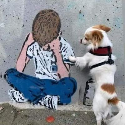 Tom_FG's profile picture. ... Lo único constante es el cambio. 🤔
 - You're only lonely.🤷‍♂️🤗
 - Mientras busco lo que quiero, pierdo lo que necesito...