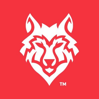 ArabiaWolves's profile picture. The Official Account of @BaseballUnited’s Dubai based franchise 🐺. The 1st professional baseball team in the GCC.