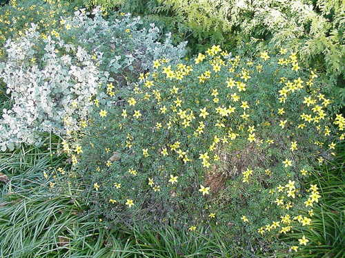 weathermath's profile picture. Connecting weather and math for middle grades students.