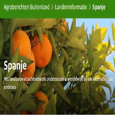 agrispanje Profile Picture