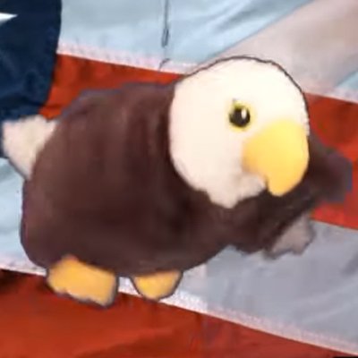 trashbiketime's profile picture. USA NATIONAL BIRD (please stand and clap)