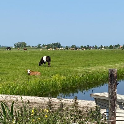 Equipo agrícola de la embajada de los Países Bajos 🇳🇱 en España 🇪🇸 -Agricultura, ganadería, pesca, alimentación, agua, naturaleza- @agrispanje (NL/EN)