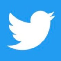 Inevitable Moron (@denisdenis) 's Twitter Profile Photo