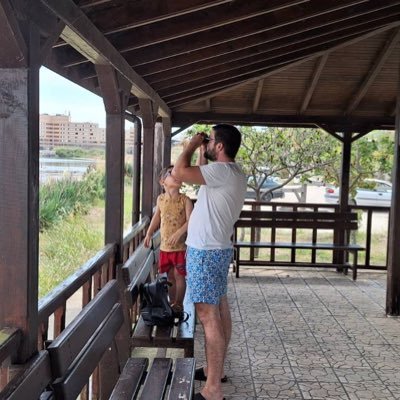 KoiNov1's profile picture. 42