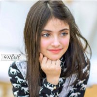 بريــــــــق 🕊️ (@1lt1l) 's Twitter Profile