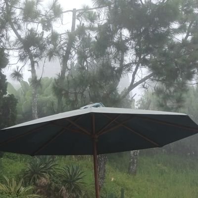 shartherizzler's profile picture. 