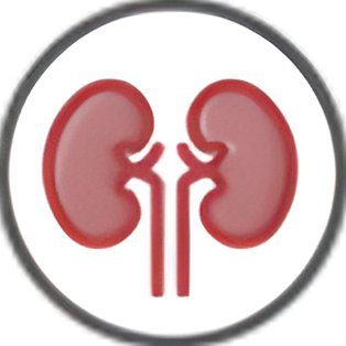 TheRaCil Project Profile