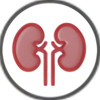 TheRaCil Project (@theracilproject) 's Twitter Profile Photo TheRaCil Project (@theracilproject) 's Twitter Profile Photo