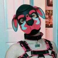 Pup Quickstep (@pup_quickstep) 's Twitter Profile