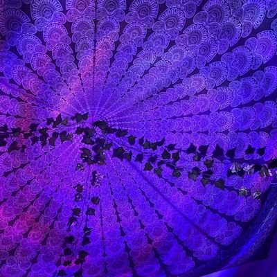 mensch | bisschen zu radikal 🖤💜 | beziehungsanarchist*in | ungebrochen optimistisch |