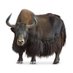 Borzam Profile picture