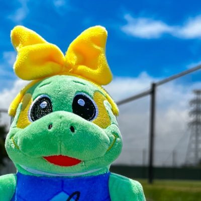 mmm_tri12's profile picture. トリサポ🐢💙💛#トリサポ猫部