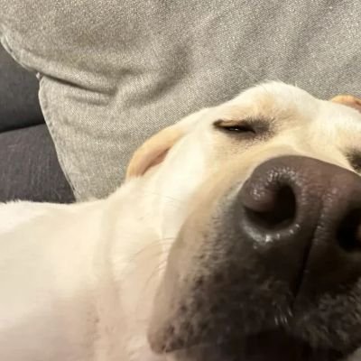 Zhangtinig2's profile picture. Respect the fate of others.