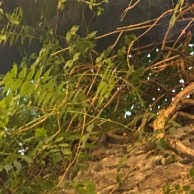 deryacetinnnnn's profile picture. 