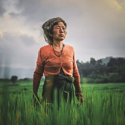 toijam_rob10354's profile picture. 