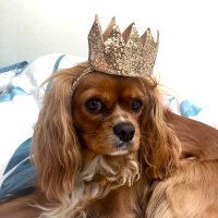 คle𝕏 in Bangkok (@sirmuttley) 's Twitter Profile