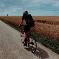 alpaqqa kürbmann🎃 (@alpaqqa) 's Twitter Profile