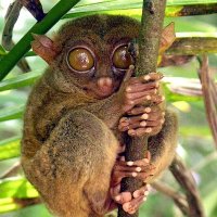 Mac 🚩🏴󠁧󠁢󠁷󠁬󠁳󠁿🇨🇺🇵🇸 (@nifurroksazyd) 's Twitter Profile Photo