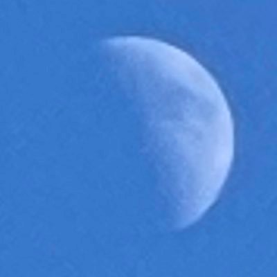 World0bserver's profile picture. Presenting information that you won’t find in the MSM. Reposting doesn’t mean agreeing. It just means people need to see it and make up their own minds.