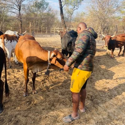 Iansimwanza2's profile picture. Activist