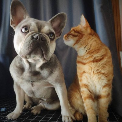 noethseacoder's profile picture. developer