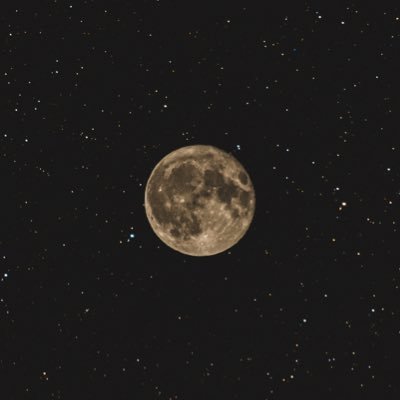 Peylix03's profile picture. 