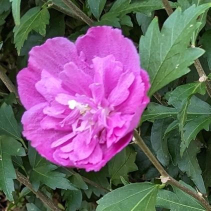😊風景写真や旅 花 野鳥が好き!!
🐰🌿🦕🦓🐭🦜
😌旅の写真は
歳を重ねて 旅して 感動した場所をツイートしてます。🧑🦰
変動が多いストレス時代
癒しを求めて!!
