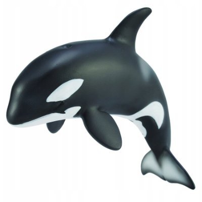 KillerWhaleXXX's profile picture. 