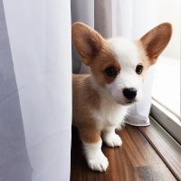 Angelina Kaka (@kakazss358009) 's Twitter Profile