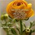 ناصر الفوزان (@N_alfouzan) Twitter profile photo