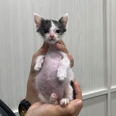 lynlly0601's profile picture. 