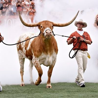 I bleed burnt orange on Saturdays for the Texas Longhorns!!🐂🤘😤
And on Sundays, I bleed red and yellow for the KC CHIEFS!❤️💛😤